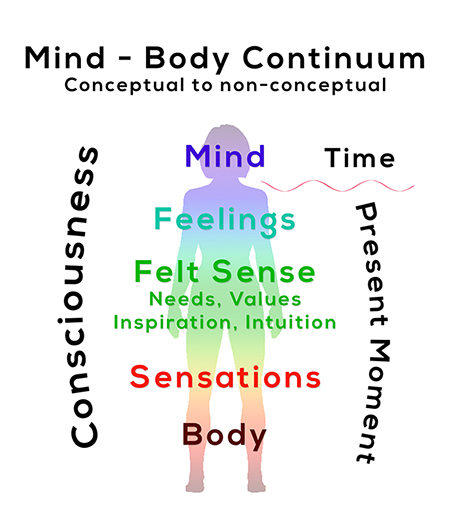 The Mind-Body Continuum